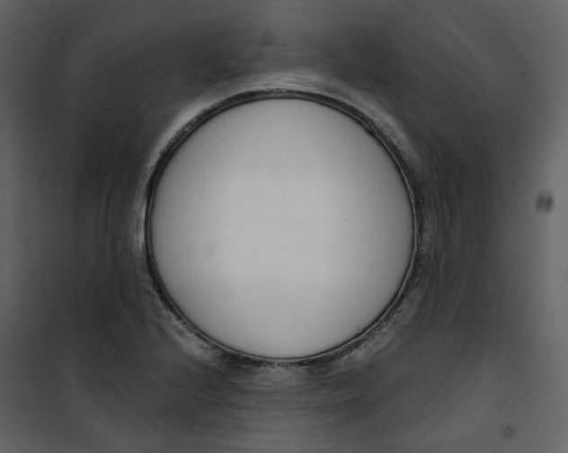 X0000101201224200807181527