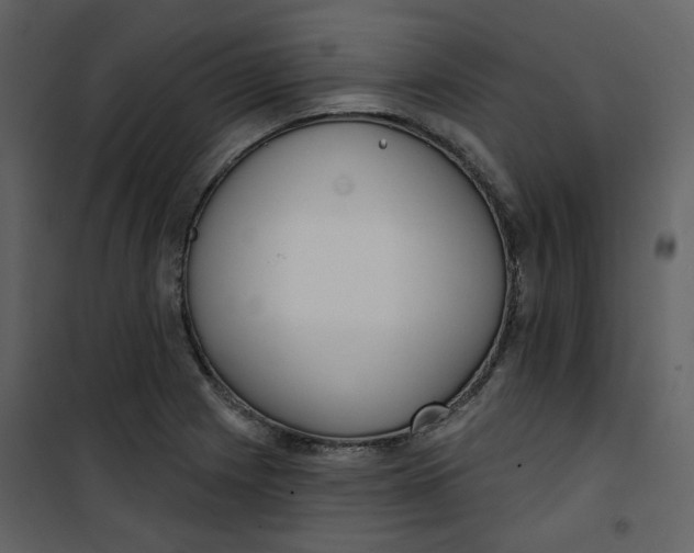 X0000101201225200807181527