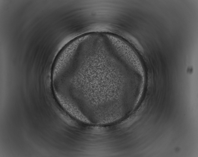 X0000101201226200807181527