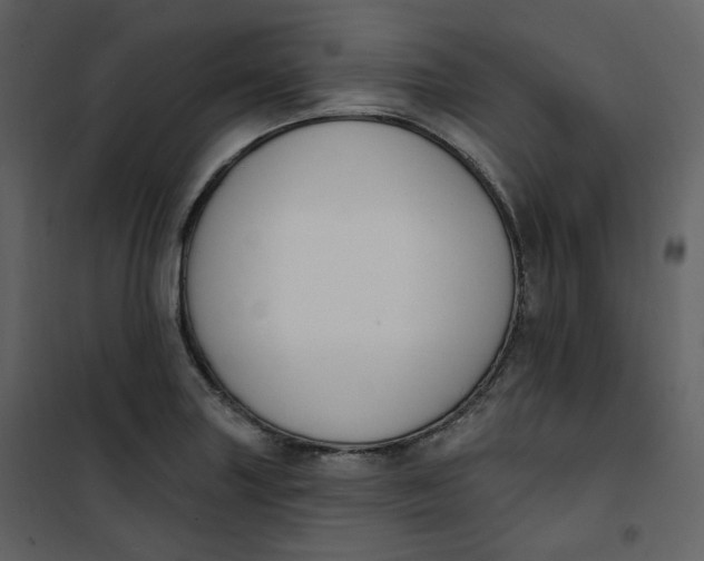 X0000101201227200807181527