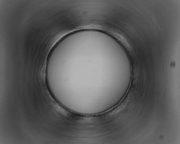 X0000101201228200807181527