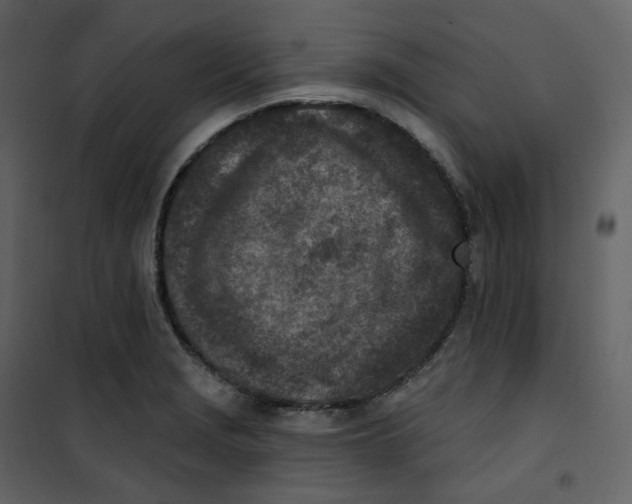 X0000101201229200807181527