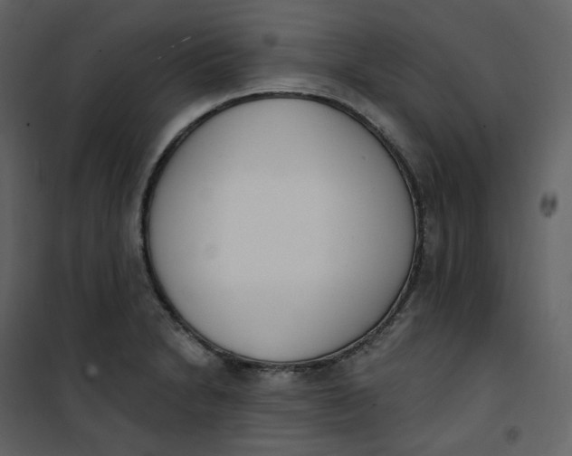 X0000101201230200807181527