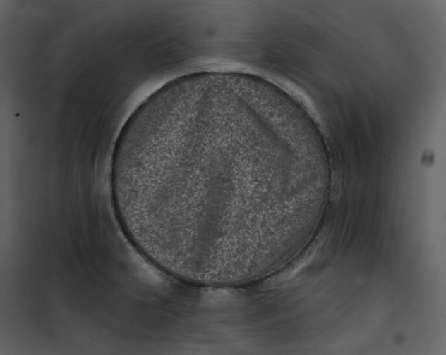 X0000101201231200807181527