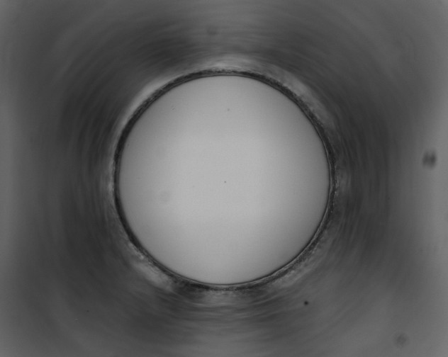 X0000101201232200807181527