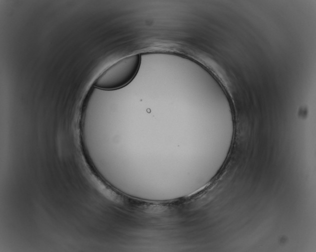 X0000101201235200807181527