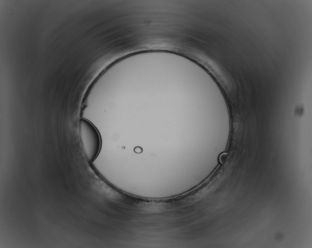 X0000101201236200807181527