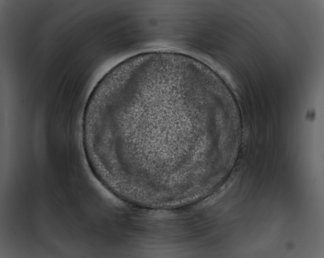 X0000101201239200807181527