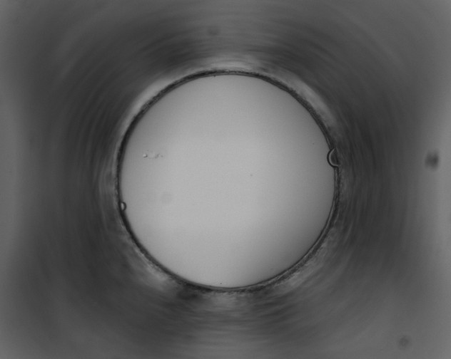 X0000101201240200807181527