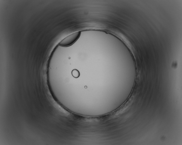 X0000101201243200807181527