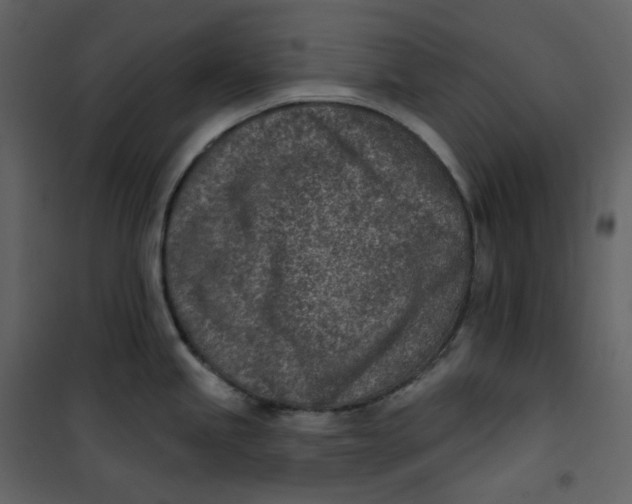 X0000101201245200807181527