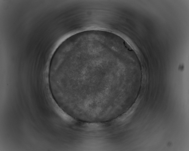 X0000101201246200807181527