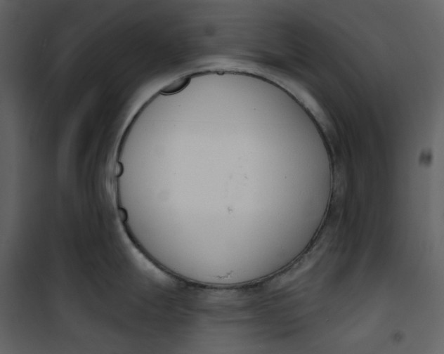 X0000101201247200807181527