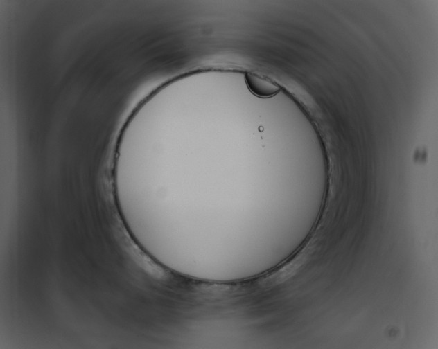 X0000101201248200807181527