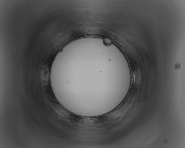 X0000101201251200807181526