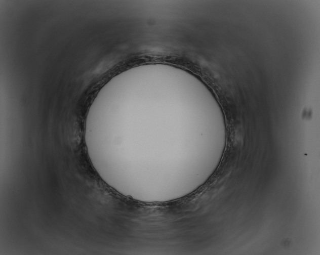 X0000101201253200807181526