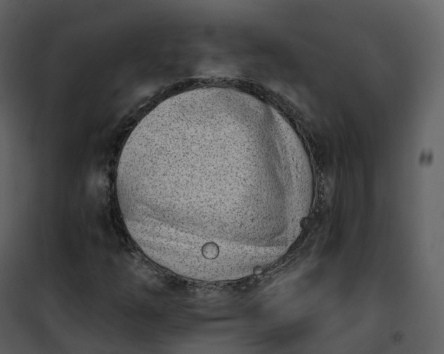 X0000101201254200807181526