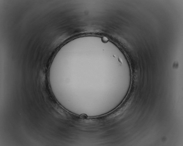 X0000101201257200807181526