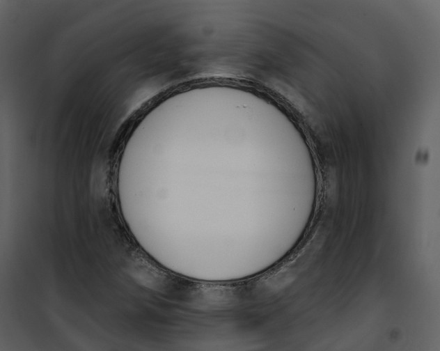 X0000101201258200807181526