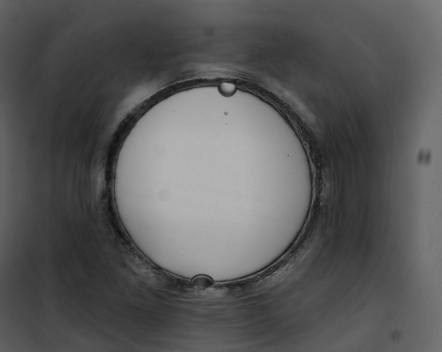 X0000101201261200807181526