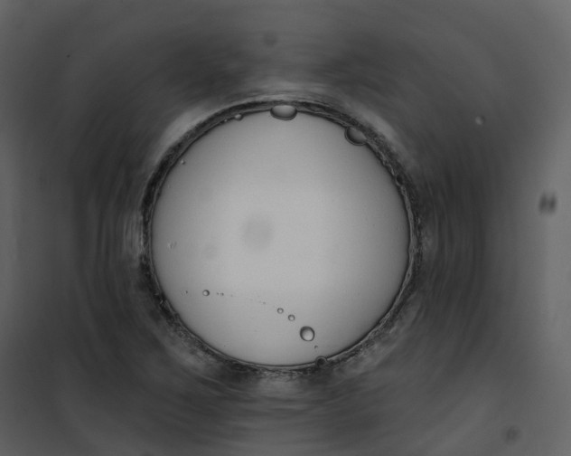 X0000101201267200807181526