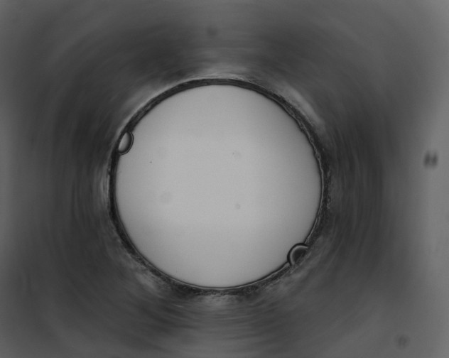 X0000101201268200807181526