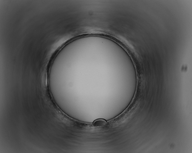 X0000101201269200807181526