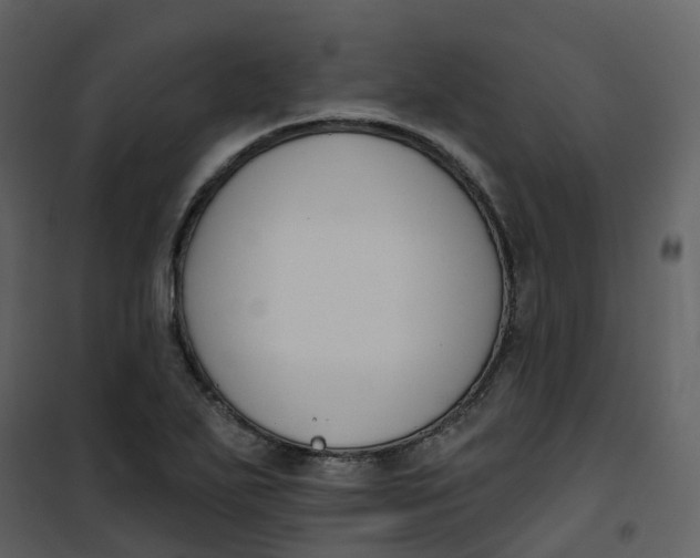 X0000101201271200807181526