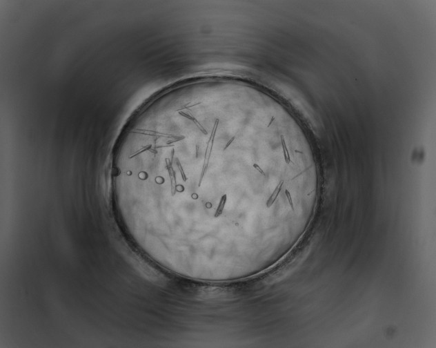 X0000101201275200807181526