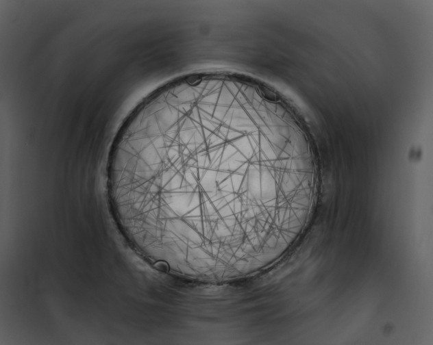 X0000101201279200807181526