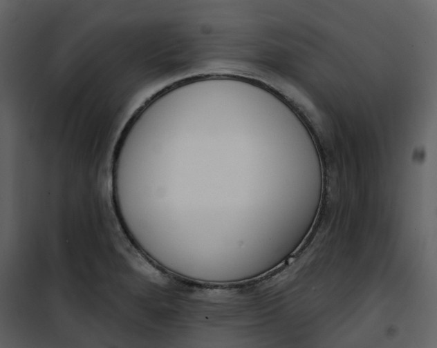 X0000101201280200807181526