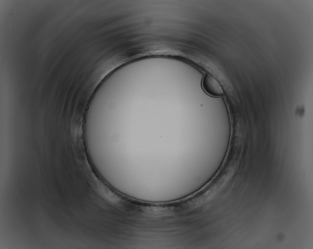 X0000101201281200807181526