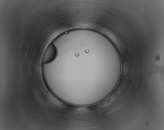 X0000101201283200807181526