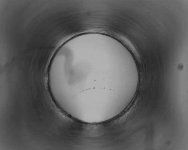 X0000101201284200807181526