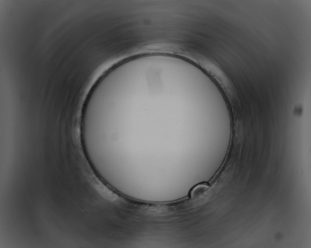 X0000101201288200807181526