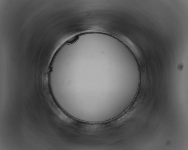 X0000101201292200807181526