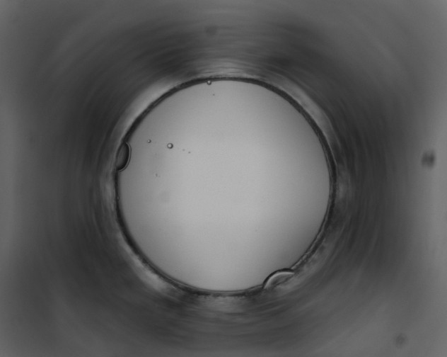 X0000101201293200807181526