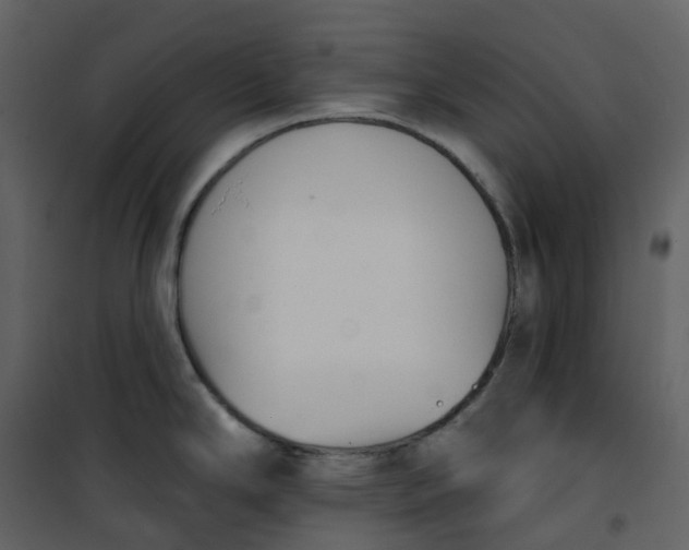 X0000101201294200807181526