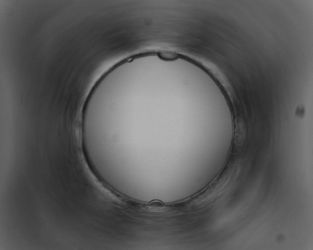 X0000101201295200807181525