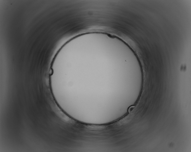 X0000101201296200807181525