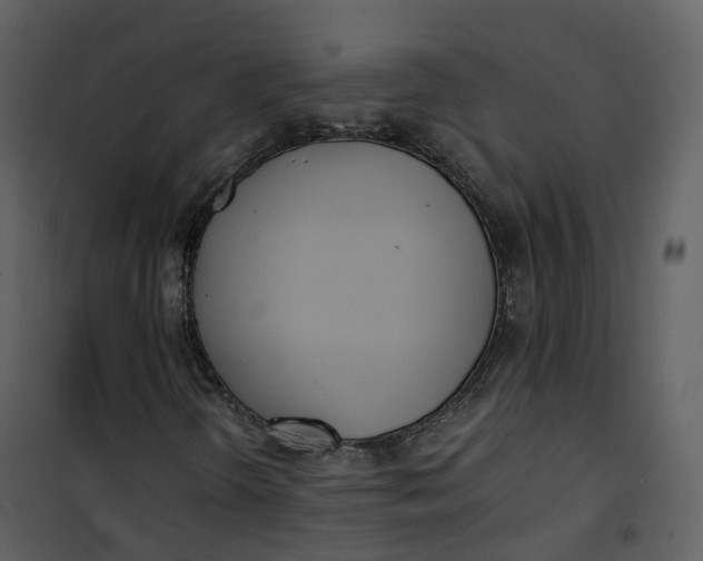 X0000101201298200807181525