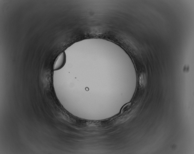 X0000101201299200807181525