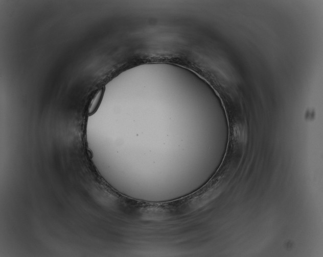 X0000101201300200807181525