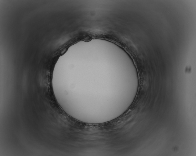 X0000101201301200807181525