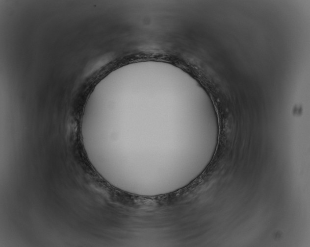 X0000101201302200807181525