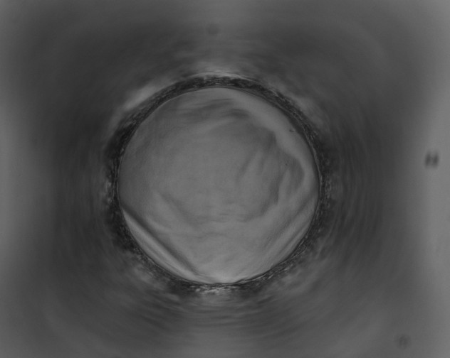 X0000101201303200807181525