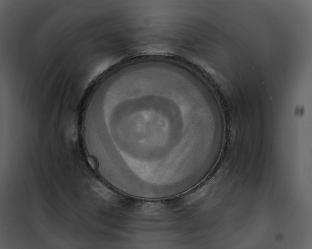 X0000101201306200807181525