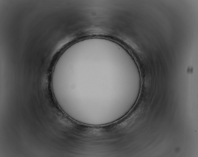 X0000101201309200807181525