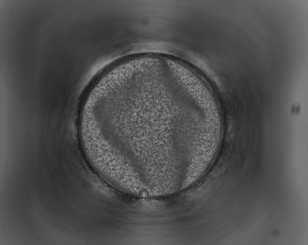 X0000101201312200807181525