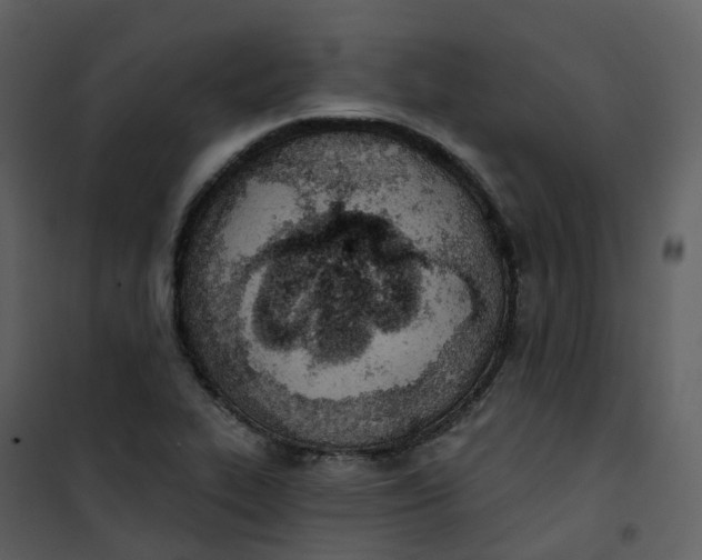 X0000101201319200807181525